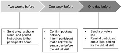 Advances in Behavioral Remote Data Collection in the Home Setting: Assessing the Mother-Infant Relationship and Infant’s Adaptive Behavior via Virtual Visits